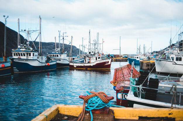 Russo Insurance/ watercraft insurance
